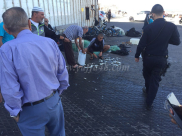 بالفيديو: الشرطة تطارد الصيادين في ميناء يافا وتلاحقهم في أرزاقهم